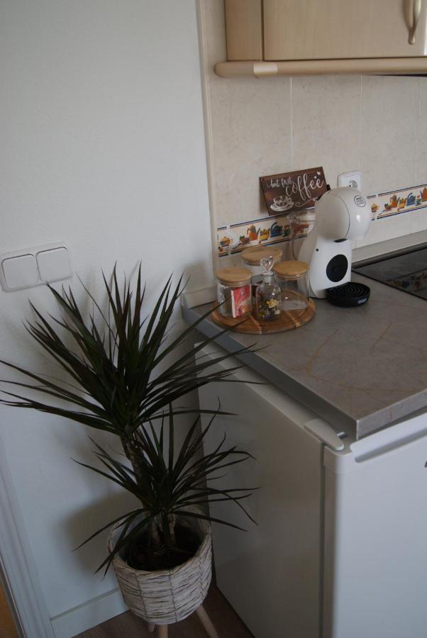 Apartamento Penas Blancas, Junto A Ruta De Los Cahorros, Monachil. المظهر الخارجي الصورة